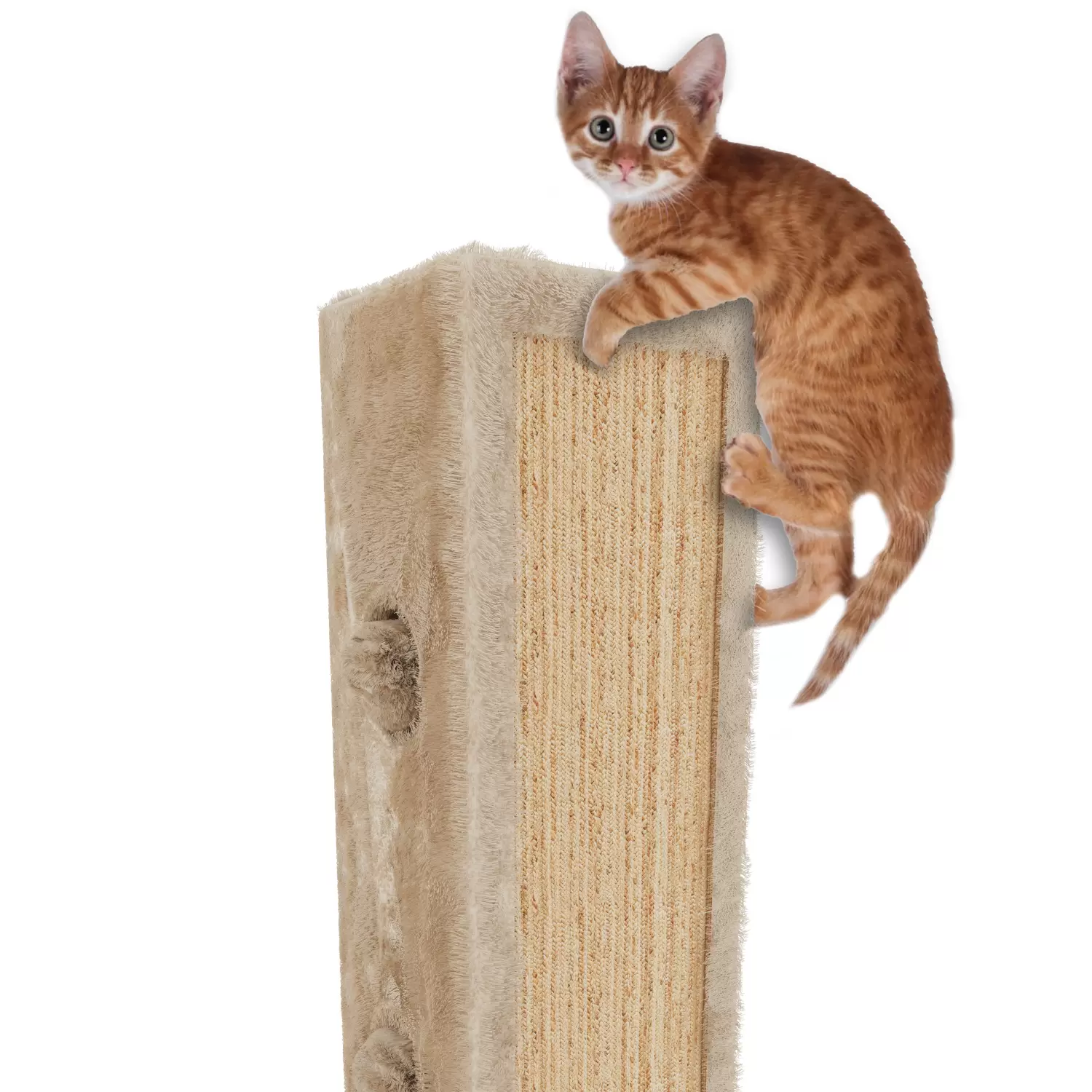 Albero Tiragraffi Per Gatti Bakaji 142cm - Con Cuccia, Amaca E Piattaforme - Grigio - Foto 7