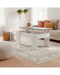 Tavolino Da Caff&egrave; Sollevabile Con Contenitore Tavolo Salvaspazio Con Piano Alzabile Per Soggiorno E Salotto Vano Portaoggetti Da Interno Mangiare Lavorare 100 x 69 x 57 Cm